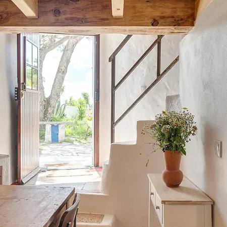 New! Windmill In The Midst Of Nature Dağ evi