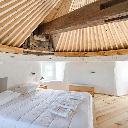 New! Windmill In The Midst Of Nature *