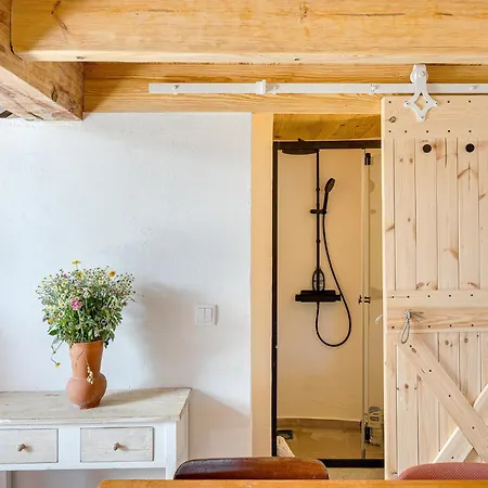 New! Windmill In The Midst Of Nature