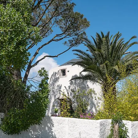 New! Windmill In The Midst Of Nature * Mafra