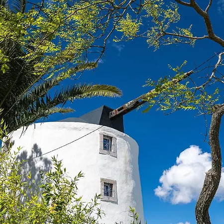 Dağ evi New! Windmill In The Midst Of Nature *