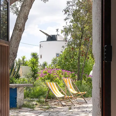 New! Windmill In The Midst Of Nature Chalé Mafra