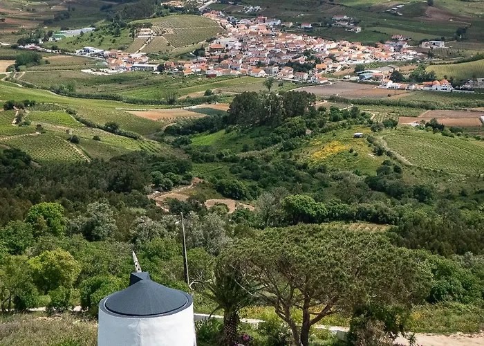 New! Windmill In The Midst Of Nature * Mafra