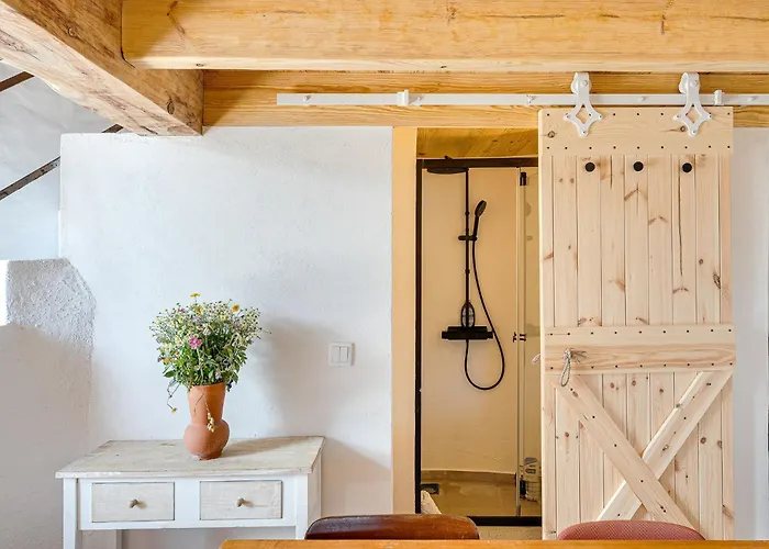 New! Windmill In The Midst Of Nature