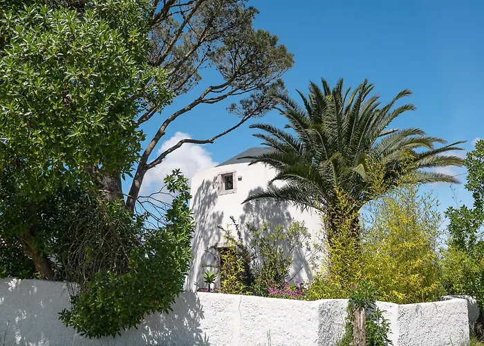 New! Windmill In The Midst Of Nature * Mafra
